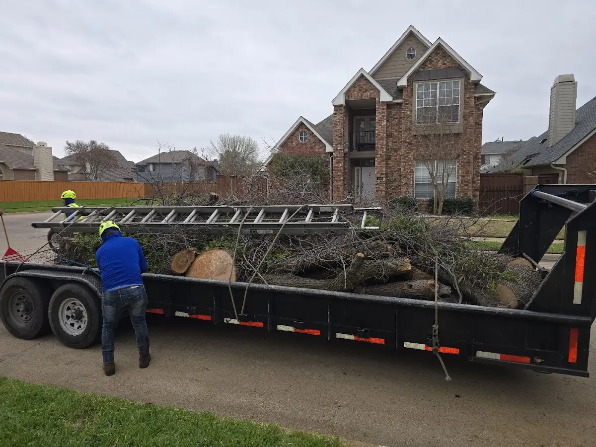 Expert Tree Pest Control with proper safety equipment in Goehner